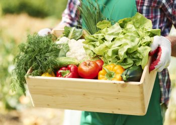 Close up of box with vegetables in hands of mature man